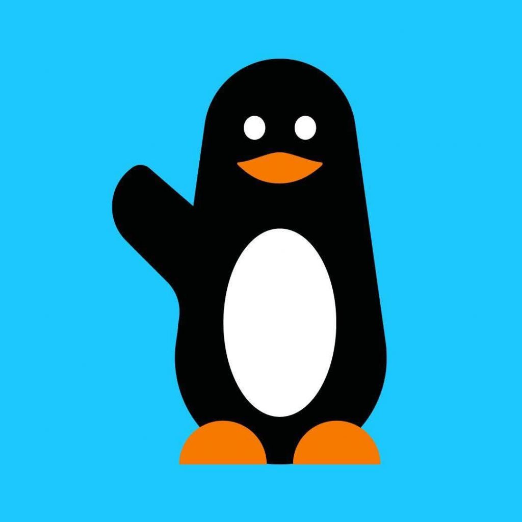 WhatsApp Image 2025 11 16 à 09.08.18 f4051552